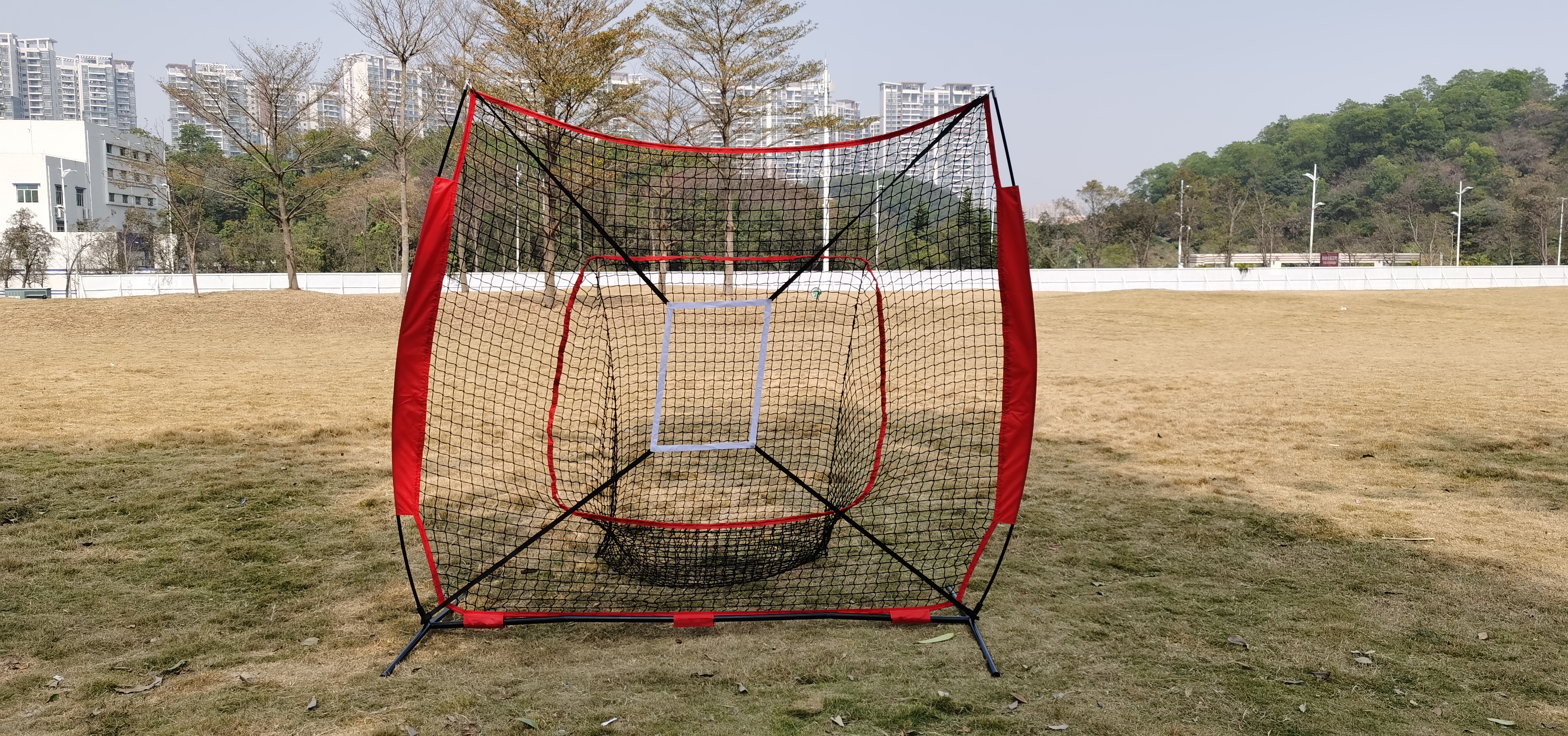 baseball hitting net IMG_20210130_130628